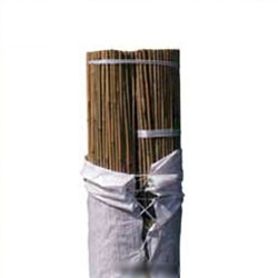 Tutor de bambu Bala 100 unidades 240 cm. diametro 20-22 mm.